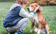 5 Amazing Benefits (& 4 Real Risks) of Kids Growing Up With Dogs – A Parent’s Honest Guide