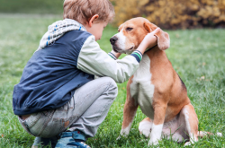 5 Amazing Benefits (& 4 Real Risks) of Kids Growing Up With Dogs – A Parent’s Honest Guide