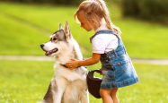 10 Brutally Honest Truths About Getting a Dog