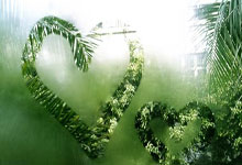 3 Hidden Dangers of Raising Cats With Kids (What I Learned the Hard Way)