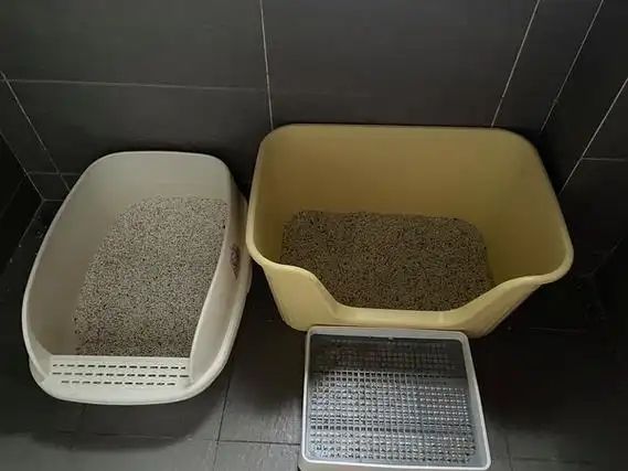Litter Box & Litter Litter Box & Litter