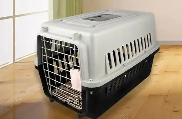 Cat carrier Cat carrier