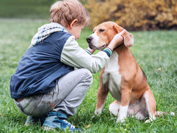 Kids and Dogs Kids and Dogs