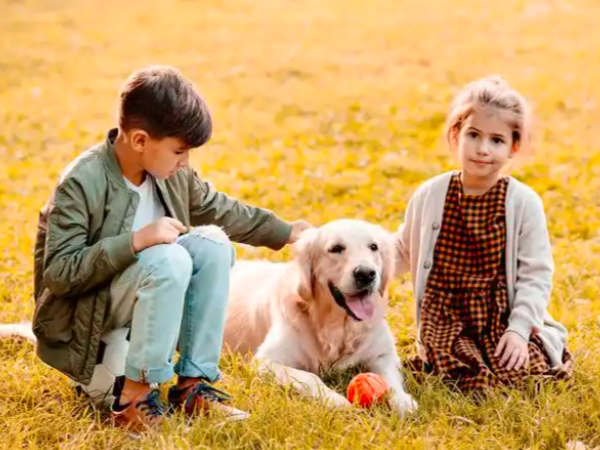 Kids and Dogs Kids and Dogs