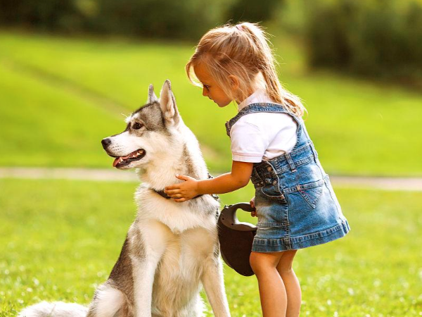 image.png The 5 Benefits of Owning a Dog image.png The 5 Benefits of Owning a Dog