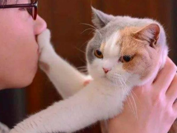 Physical Abuse